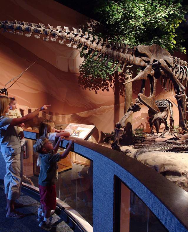 Dino Museum