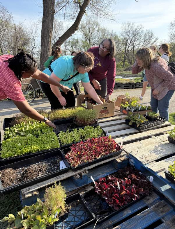 Monthly Farmers Market