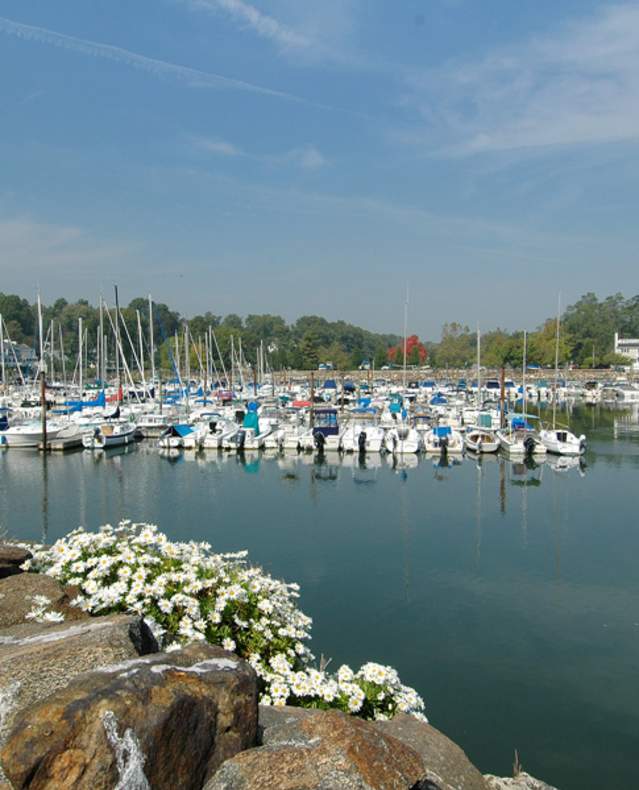 Sailboats are docked on the water in Rye.