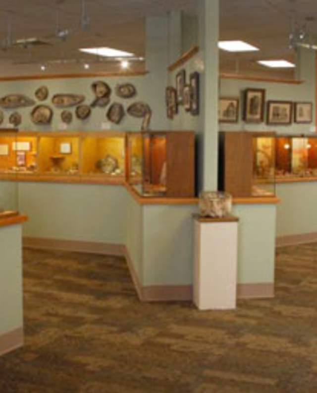 petrifiedwood-galleryview