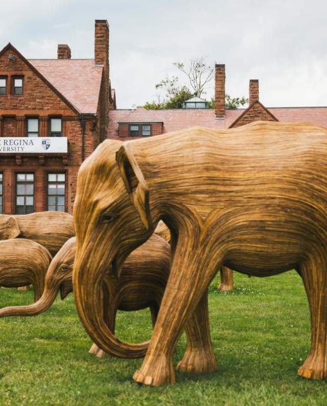 Great Elephant Migration | Newport, RI