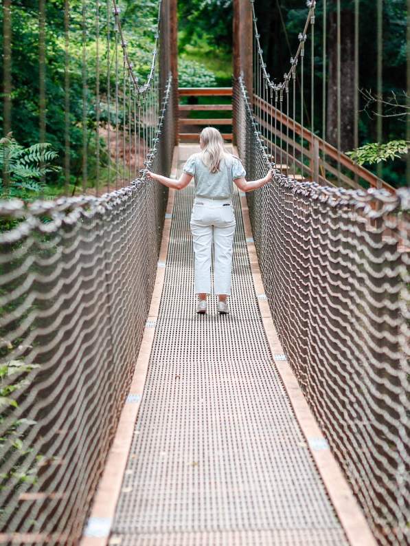 10 Things to do at the Anne Springs Close Greenway