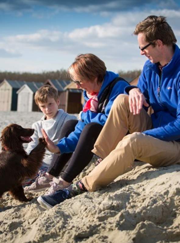 The dog-friendly beaches of Sussex