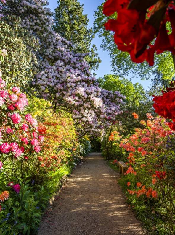 Discover the secret gardens of Sussex