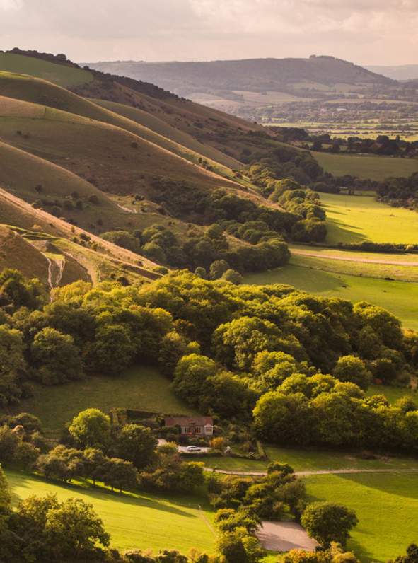 Step into Sussex: Things to Do Near London Gatwick Airport