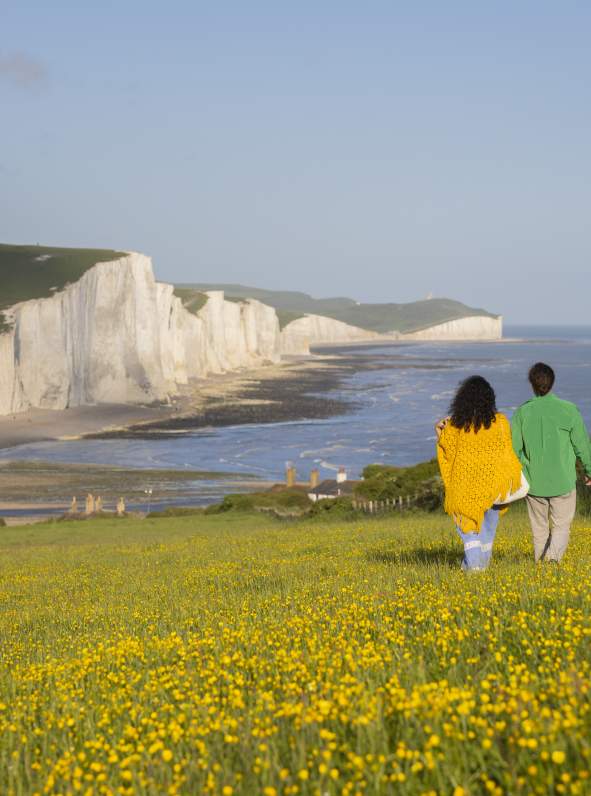 A couple walk across a yellow wildflower meadow on Seaford Head, looking towards the white cliffs of Seven Sisters
