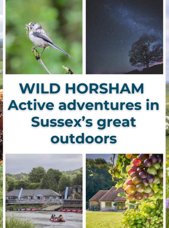 Wild Horsham: A week of active adventures in Sussex’s great outdoors
