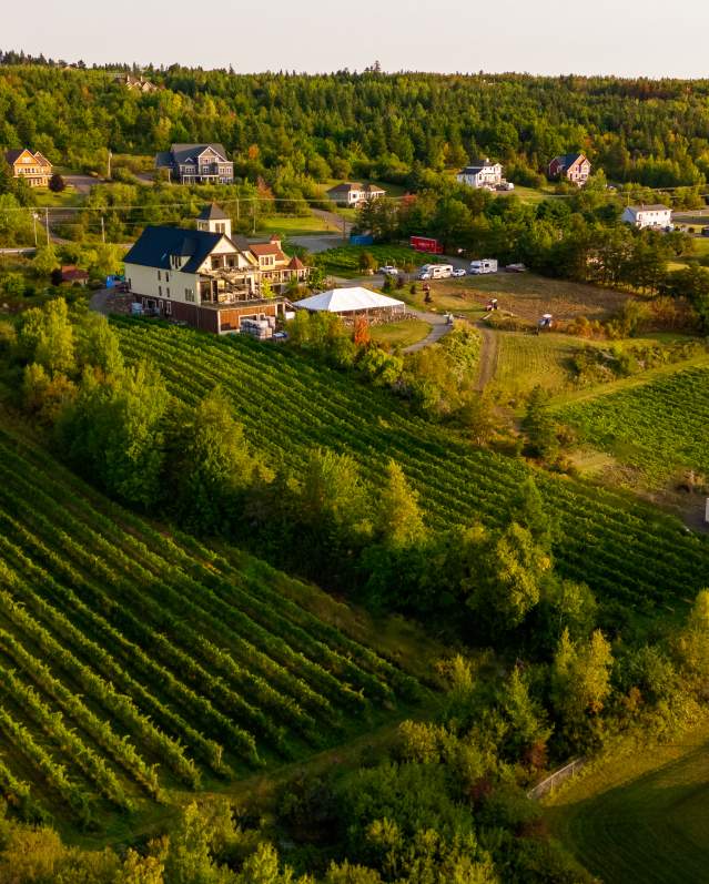 Magnetic Hill Winery