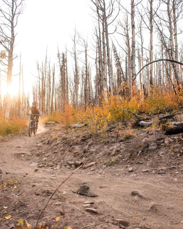 Biking - Late Fall, Bunker Creek Trail