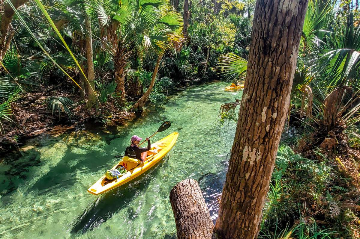 Te amaré todos los días de mi vida: Frases de amor, image size:1200x798