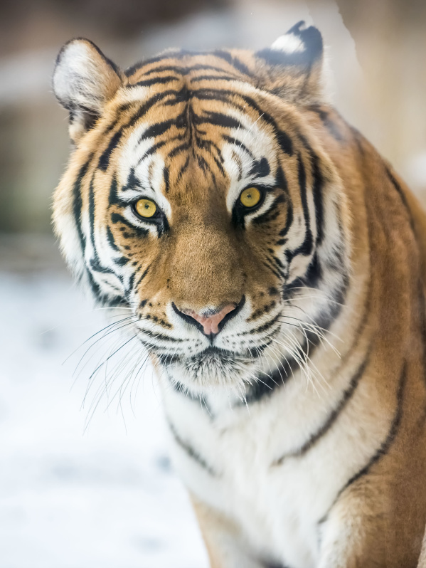 Milwaukee County Zoo