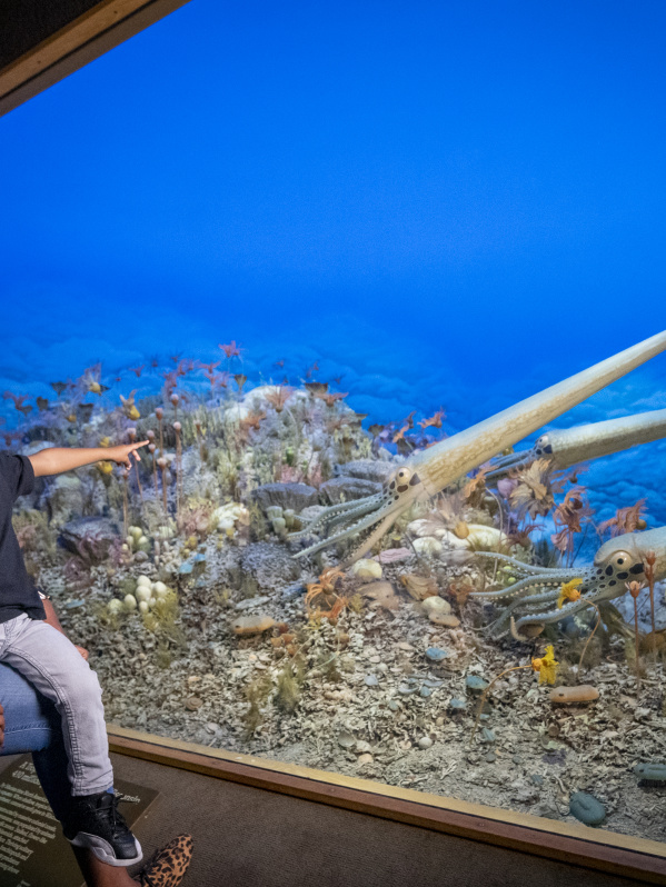 Milwaukee Public Museum