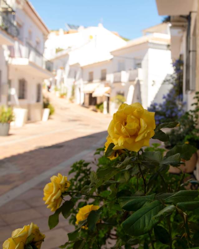 Descubre Benalmádena