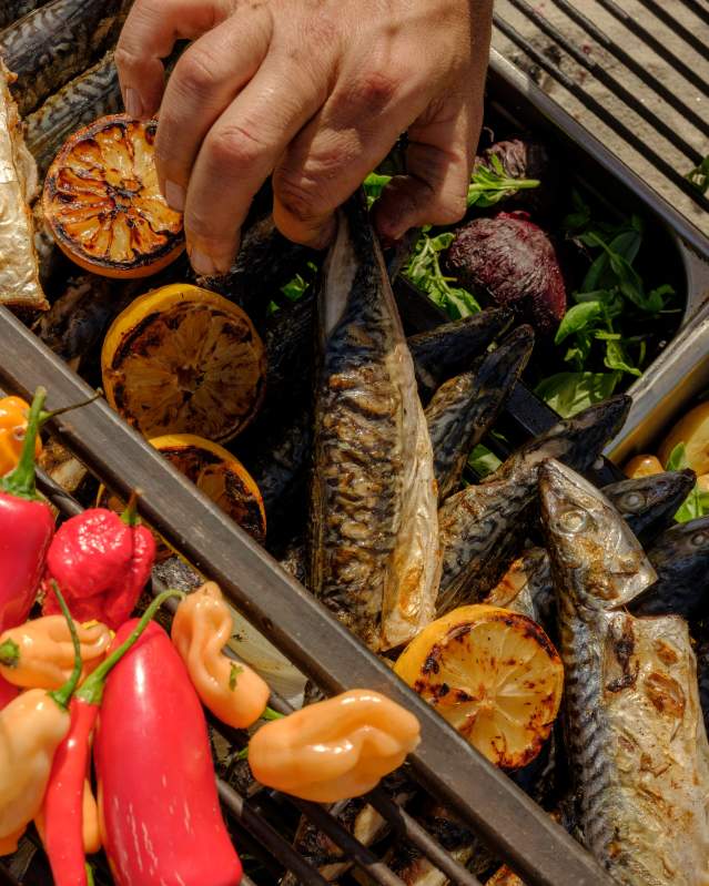 Food & Drinks producers