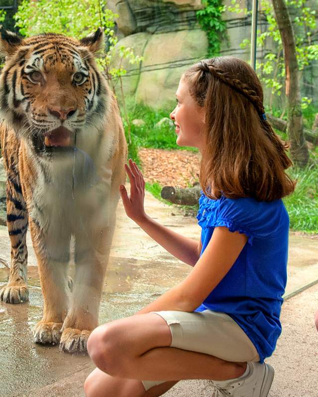 Indianapolis Zoo