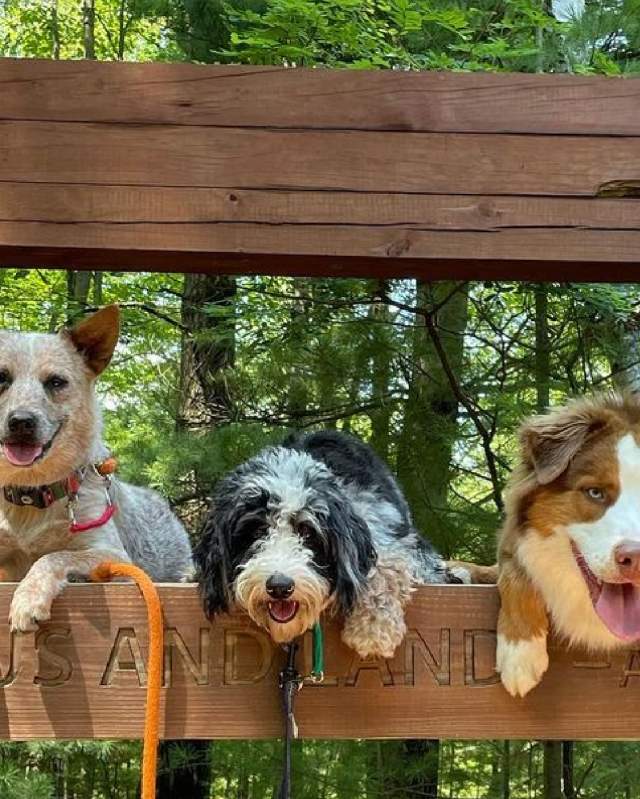 Fido dog friendly hotsell