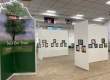 Arbor Day Art Show