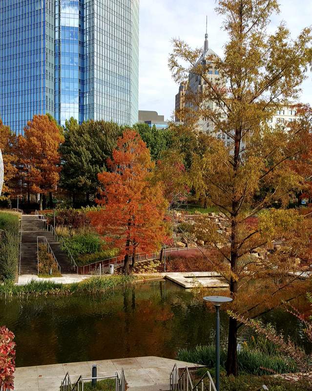 Fall Colors at the Myriad Gardens
