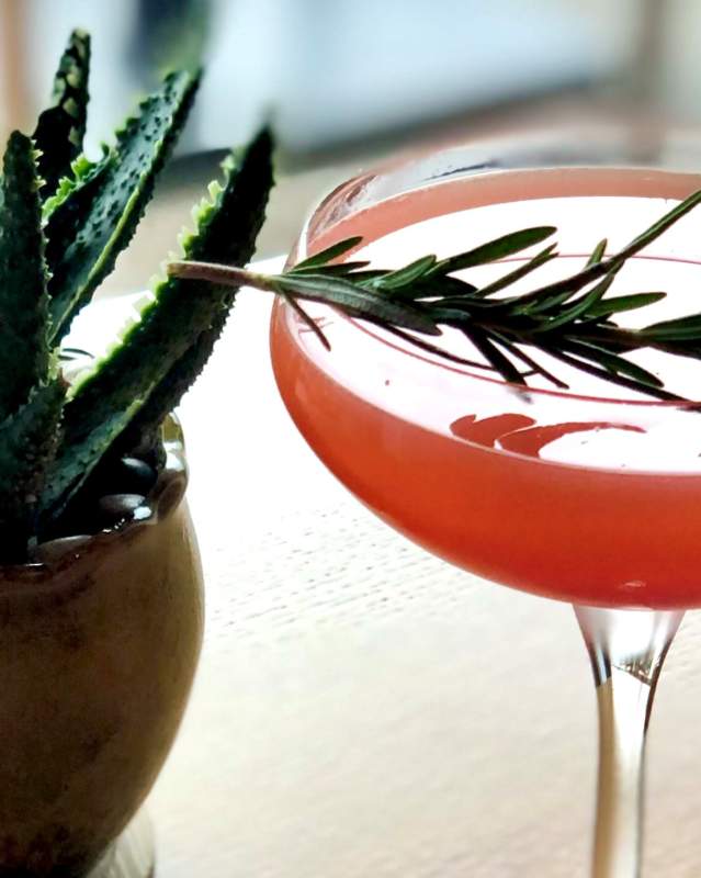 Milo Cocktail