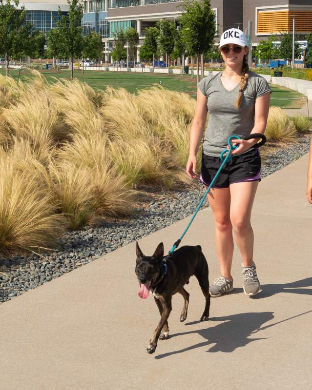 Walking dogs in Scissortail Park