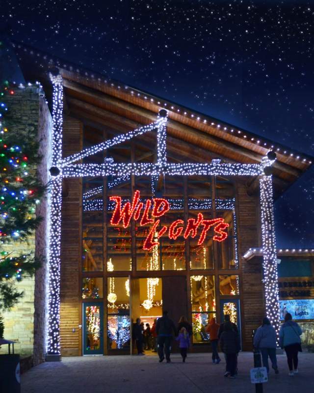 Akron Zoo-Wild Lights