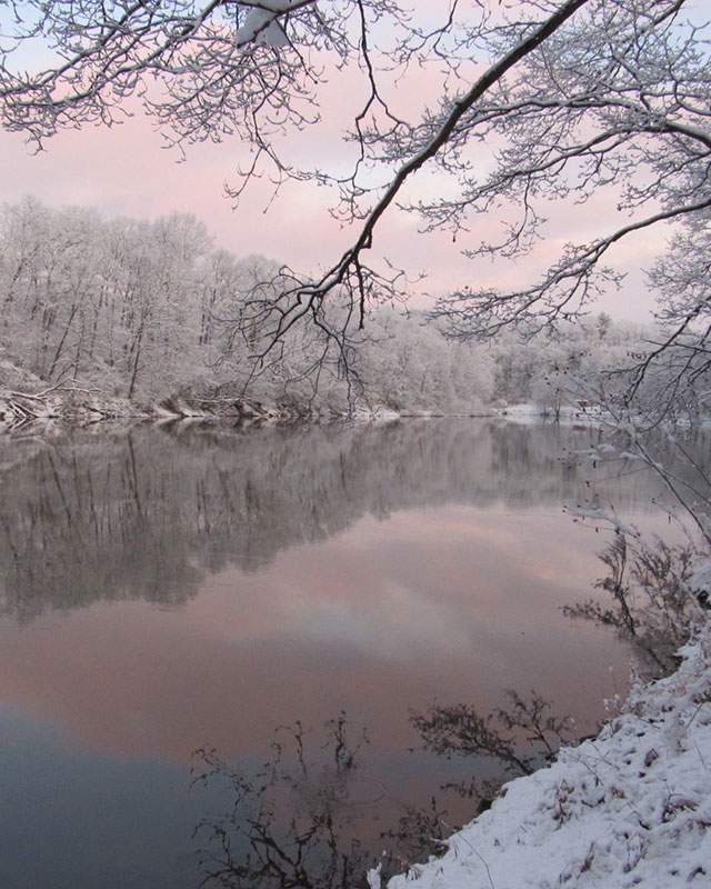 Winter scene