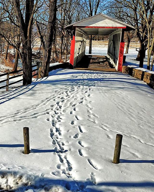covered bridge in Winter