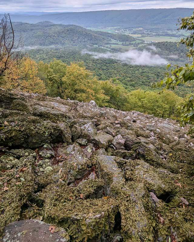 overlook