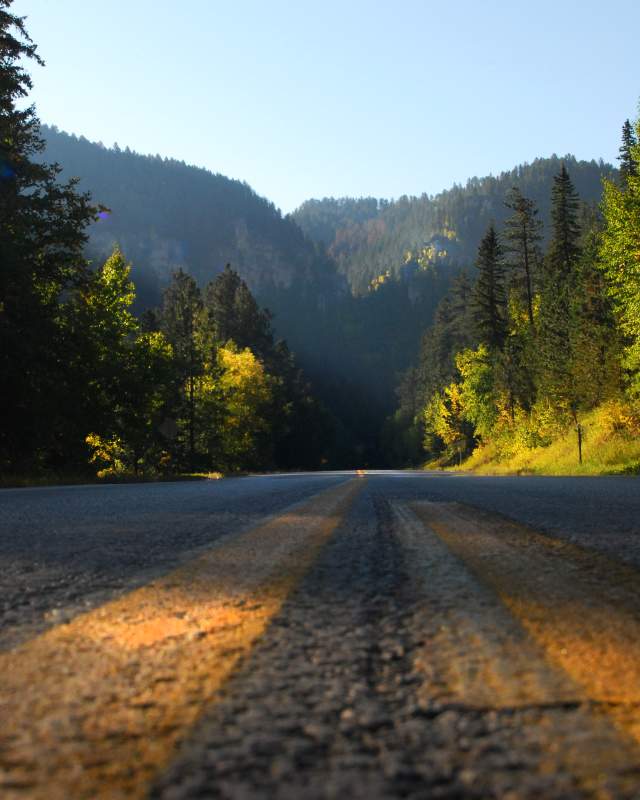 Spearfish Canyon Road with the view of Spearfish Canyon beyond the road