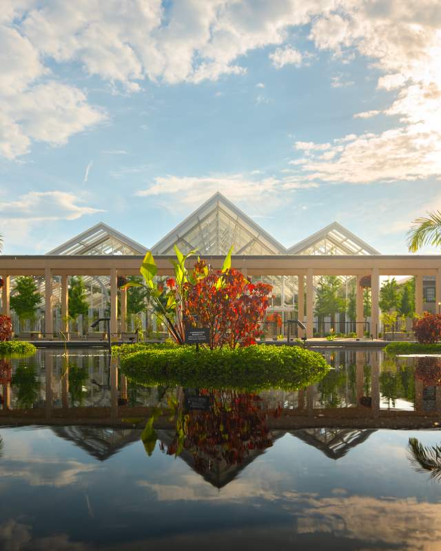 Lily Pad Pond and West Conservatory