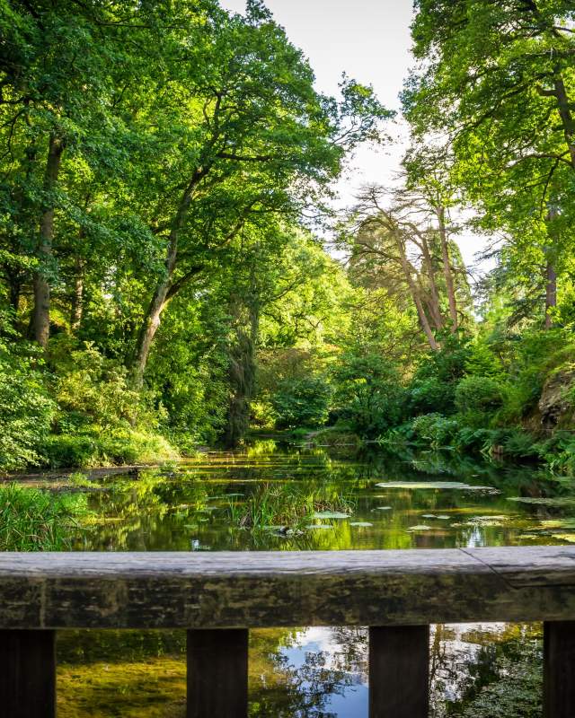 Nature Calm image at Bodant