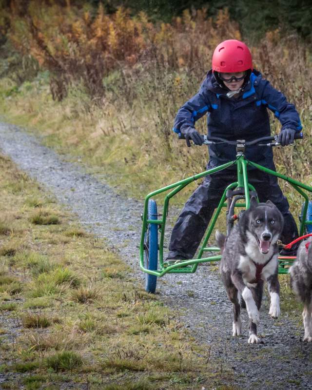 Adrenaline - Boy on a husky ride