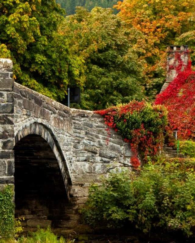An old stone bridge and house covered in ivy