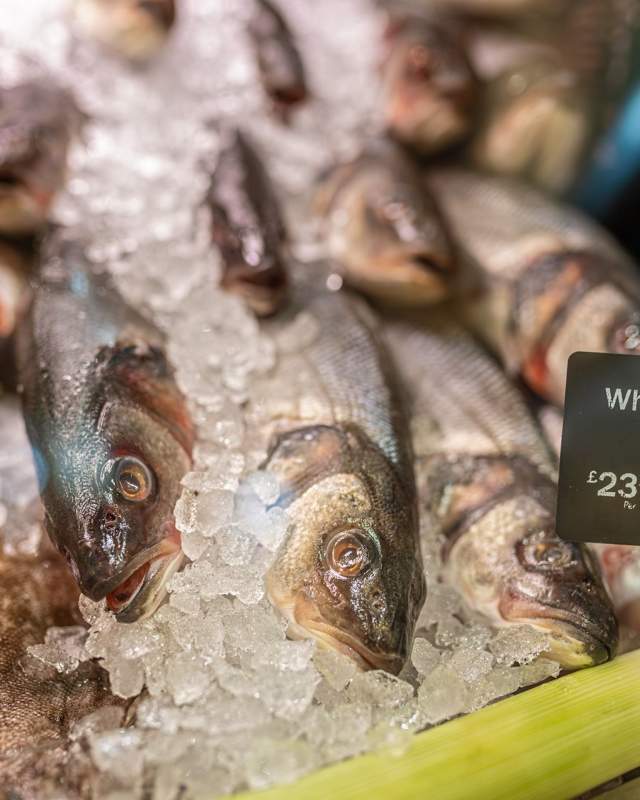 Seabass on ice at the fishmongers