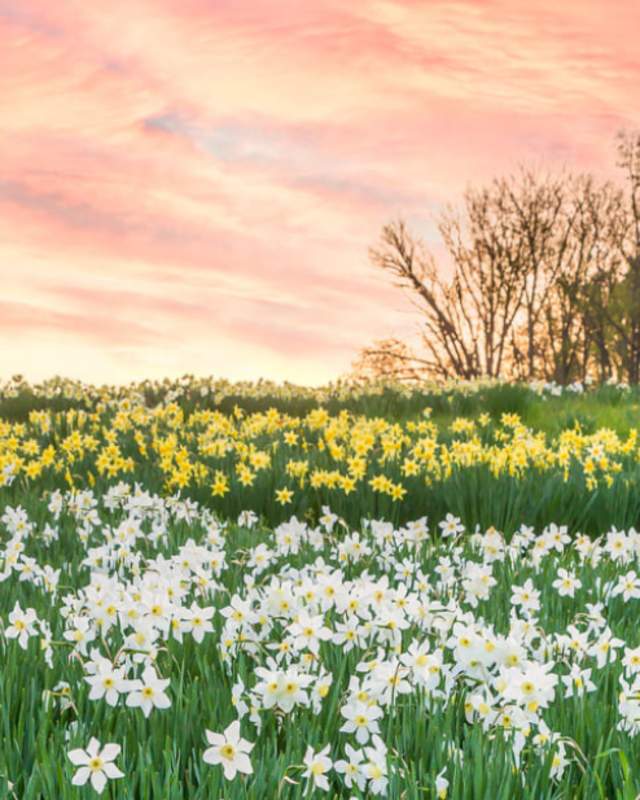 Delaware's Spring Must-Do's