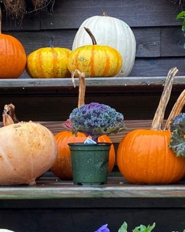 Fresh and Crisp Fall Experiences Await in Delaware