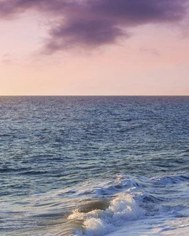 Purple beach in Delaware