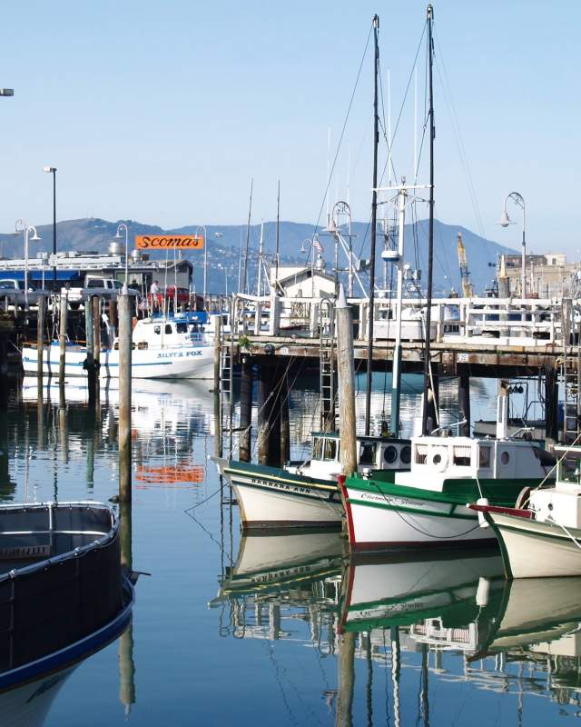 Fishermans Wharf- Fishing Boats