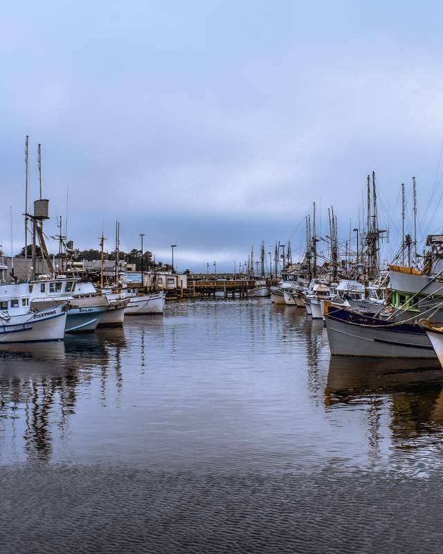 Boats at Fisherman's Wharf