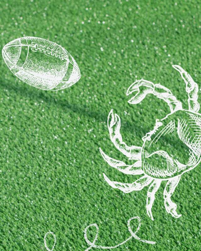 Warm Up at the Wharf