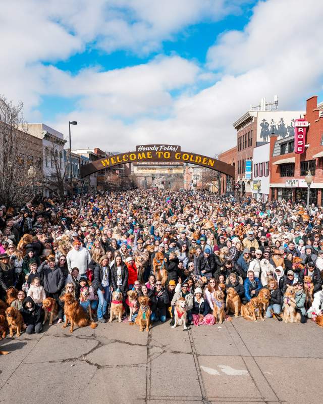 Goldens in Golden, Colorado Celebrate Golden Retrievers