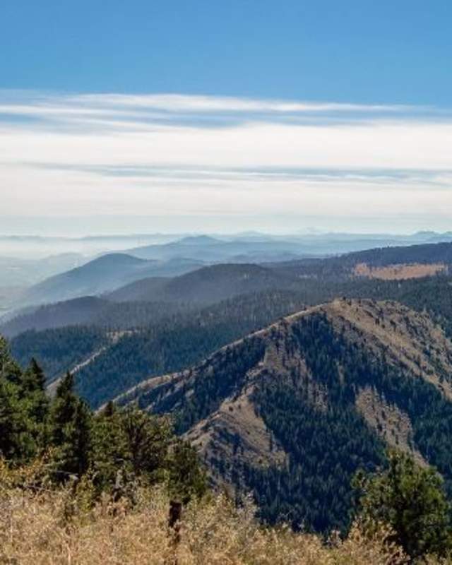 Panoramic view of the hills, pine trees and part of a wooden fence