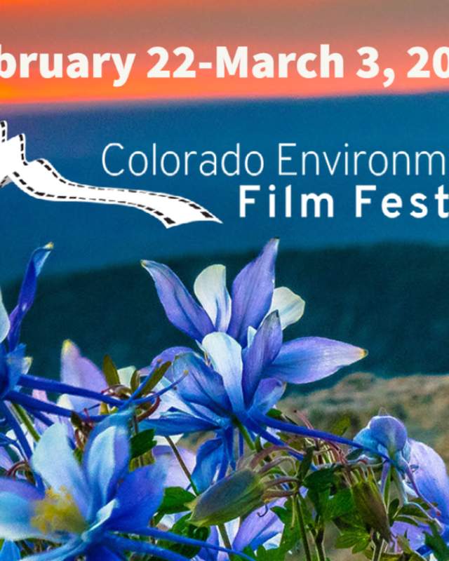 Colorado state flower with text: Colorado Environmentl film festival