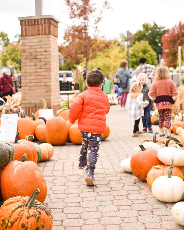 Farmers Market Pumpkins with boy