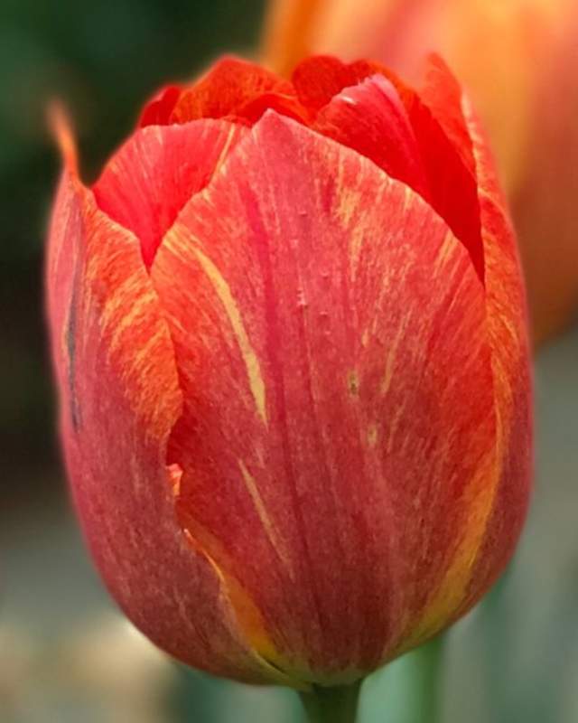 Mix