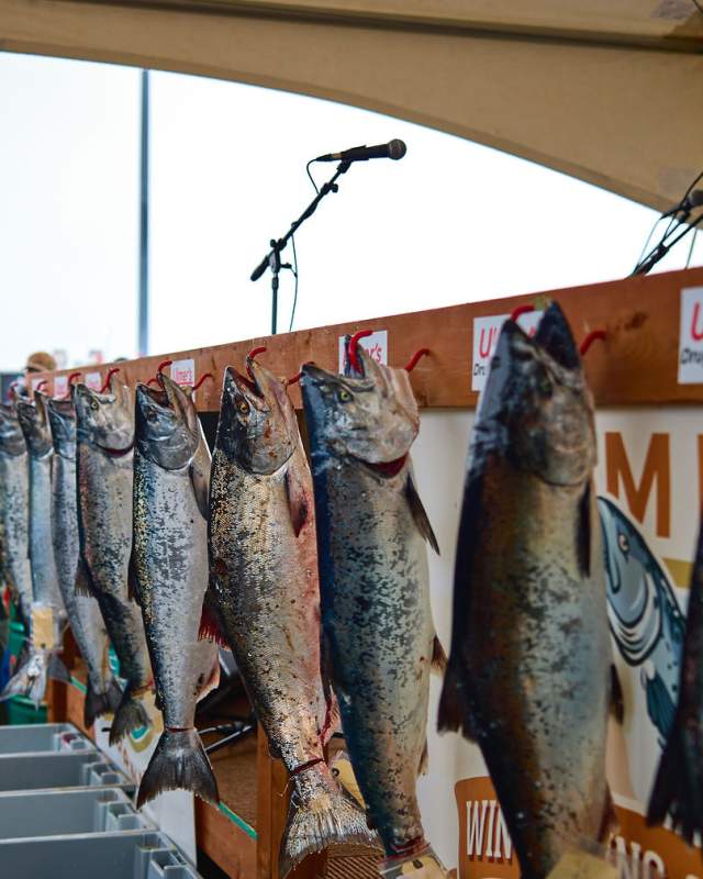 2024 Top 10 Fish Homer Winter King Salmon Tournament