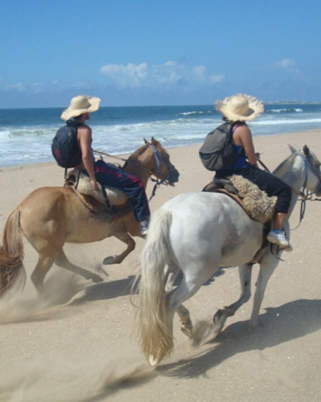 2 people riding horses on a beach