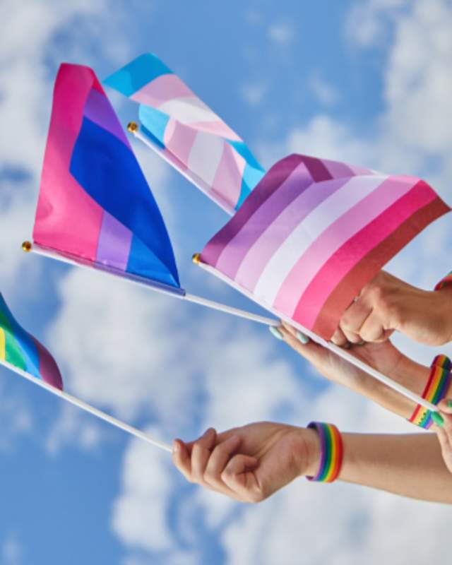 LGBTQ+ flags page header