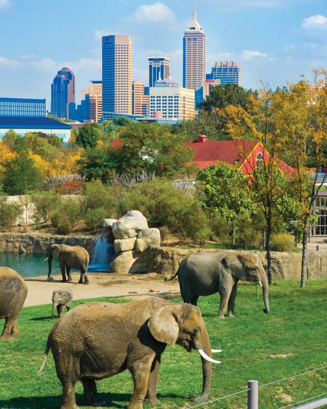 Save at top attractions like the Indianapolis Zoo with Indy Daily Deals