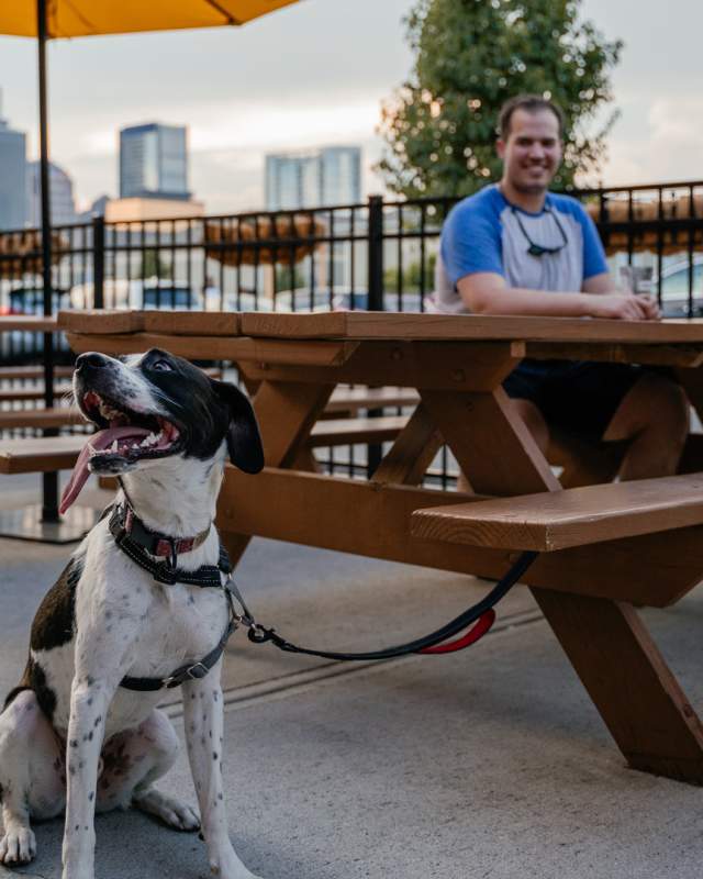 Metazoa Brewing is known as a welcoming location for dog lovers